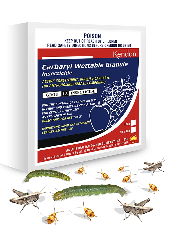 Insecticide to control Lepidoptera, Coleoptera and other chewing and sucking insects