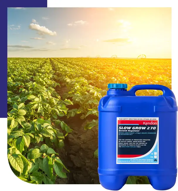 Image of Slow Grow product against a crop of potatoes