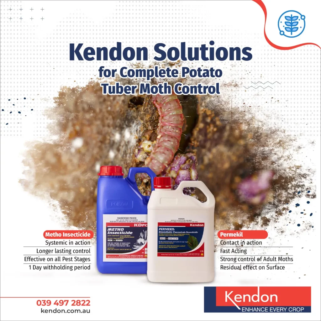 Metho insecticide and Permekil pest products to control potato tuber moths