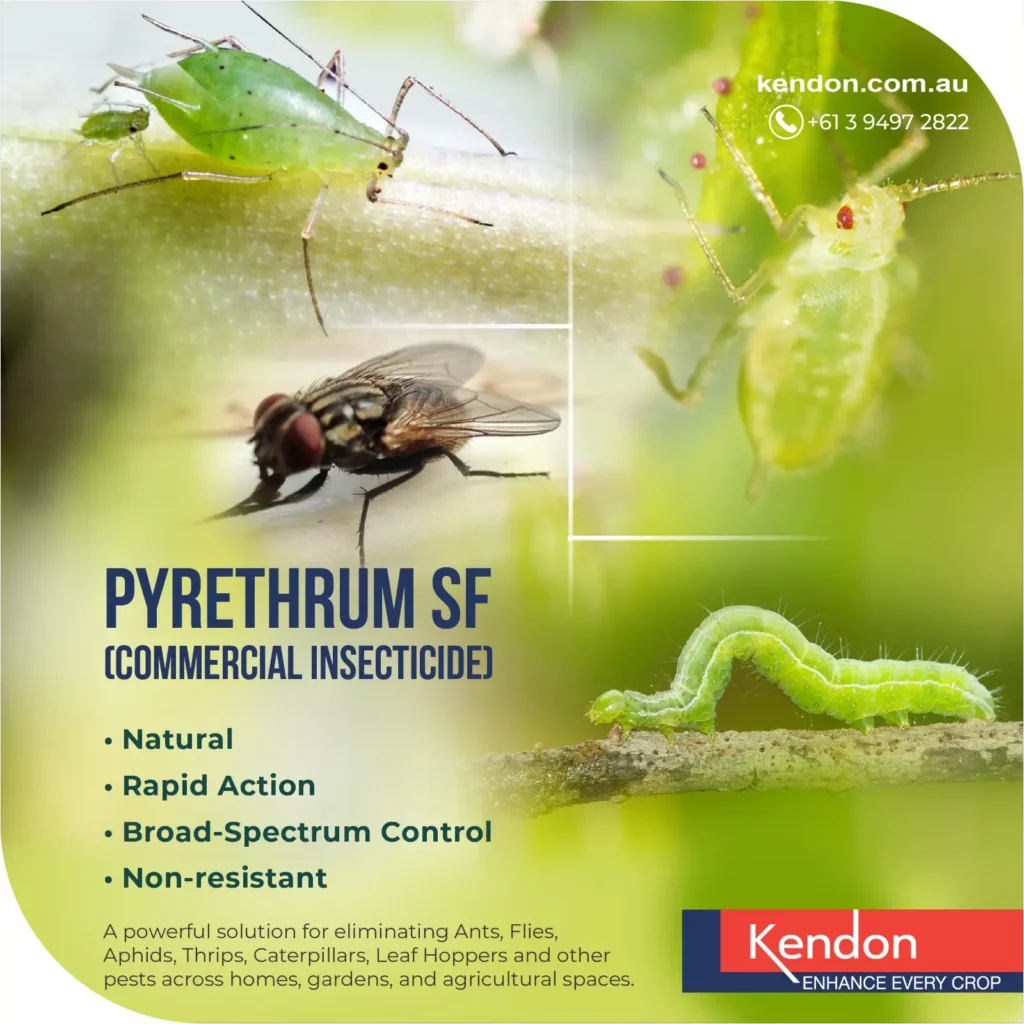 Pyrethrum SF Commercial Insecticide – Natural Crop Protection Ad