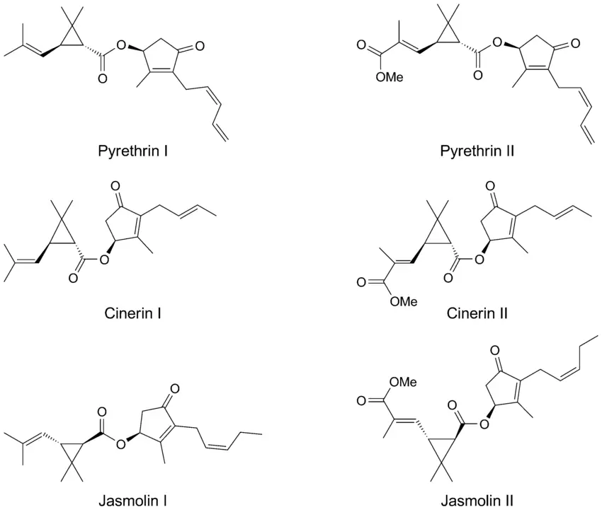 Chemical diagram of Pyrethrum's 6 active compounds that disrupt insects nervous systems