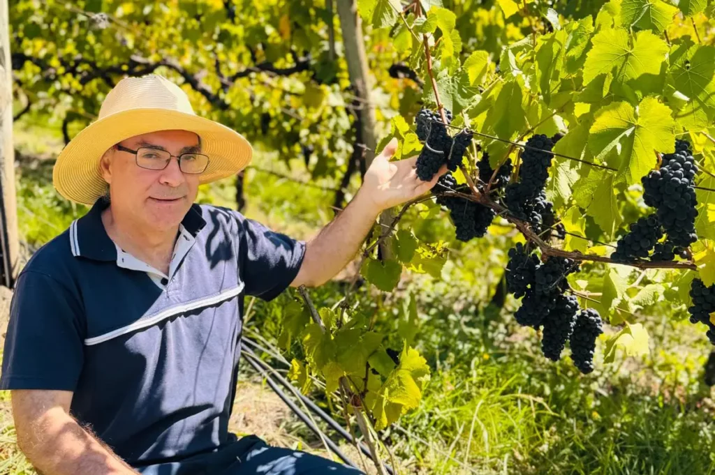 Tony's early harvest - results of High K foliar fertiliser