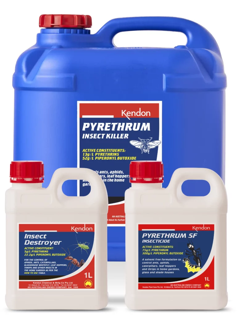 Pyrethrum-based products that are quick-acting insect killers
