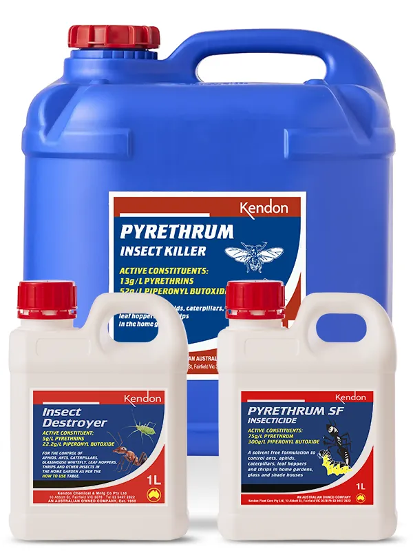 Pyrethrum-based products that are quick-acting insect killers