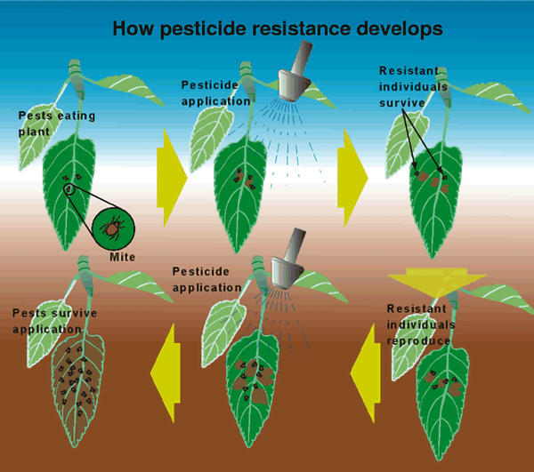 Slowing chemical resistance of pests.
