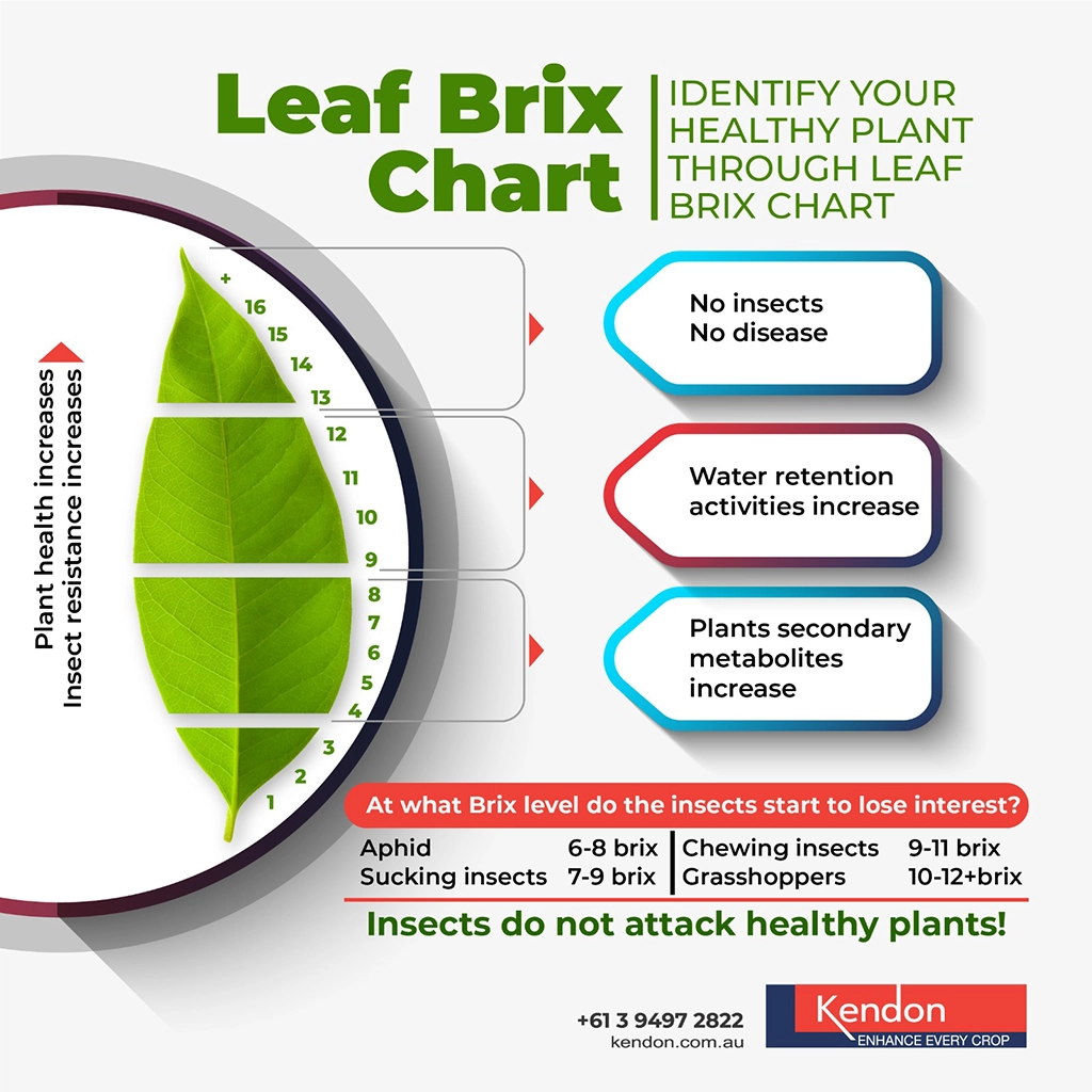 Leaf Brix Chart for a healthy plant