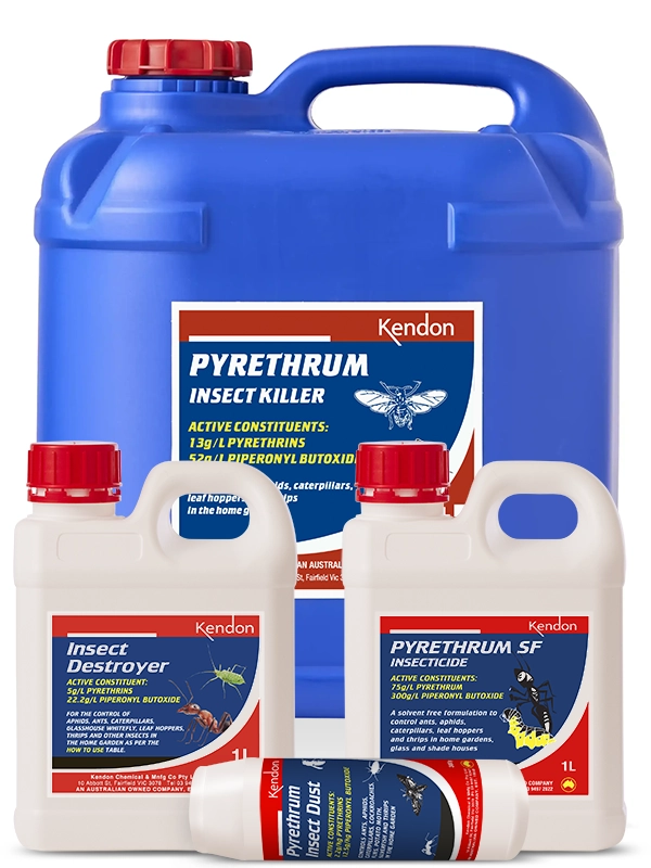 Pyrethrum-based products that are quick-acting insect killers