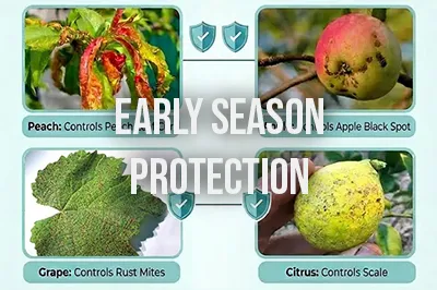 Kendon Lime Sulphur as a winter clean for early-season disease protection in orchard crops