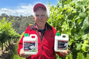 Early grape ripening advantage of pff-gold & high-k